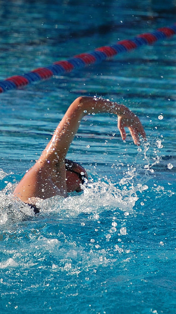 Sports swimming, Aquatic activities, Competitive sports, Water-based games HD phone wallpaper