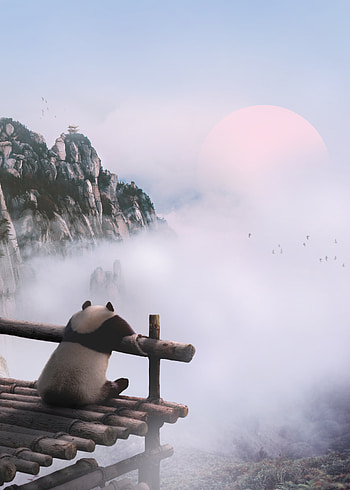 Animals, Nature, Mountains, Clouds, Fog, Panda HD phone wallpaper