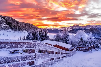 Winter, graphy, wonderful, snowflakes, snowflake, snow, trees, , sun, cold, beautiful, tree, nature, sky, lovely, splendor, ice HD wallpaper