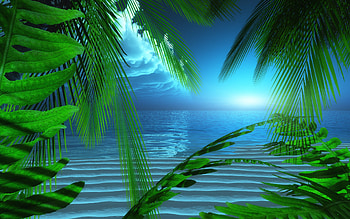 screensavers and | screensavers explore night seaside HD wallpaper