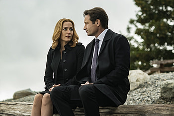 David Duchovny, Movies, , Ultra HD wallpaper