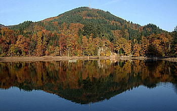 Nature, Rivers, Trees, Autumn, Lake, Elevation HD wallpaper