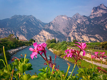 Mountain river view, river, beautiful, rocks, nice, mountain, summer, shore, cliffs, view, nature, flowers, sky, riverbank, water, lovely, village HD wallpaper