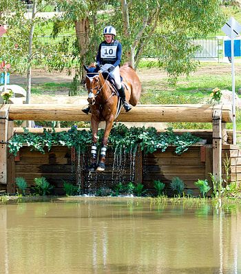 What is eventing, Equestrian sports, Eventing, Horse sports HD phone wallpaper