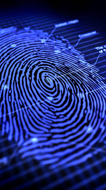 Fingerprint, Blue, Background HD phone wallpaper