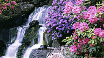 Garden, Flower, , Waterfall, Moss, Nature, Water, Waterfalls HD wallpaper