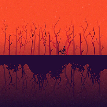 Trees, Art, Vector, Reflection, Girl, Bicycle HD phone wallpaper