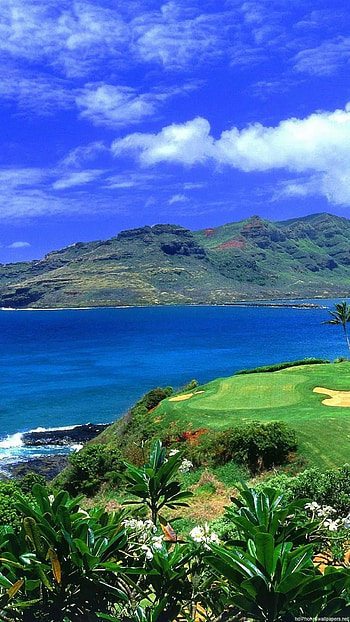 Hawaii , Android , Stunning backgrounds, Visual splendor HD phone wallpaper