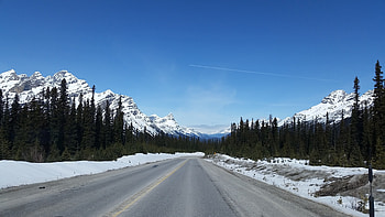 Nature, Albert, Alberta, Highway, Icefields Parkway HD wallpaper