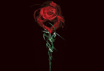 Fractal Rose, rose, abstract, roses, red, fractal HD wallpaper