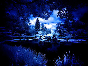 Blue evening, blue, lake, darkness, branches, clouds, nature, sky, water, forest, pong HD wallpaper