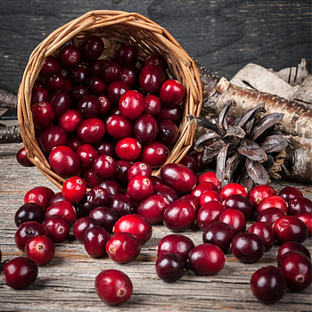 Heart-healthy food, Cranberries for cardiovascular health, Nutrient powerhouse, Great for the heart HD phone wallpaper