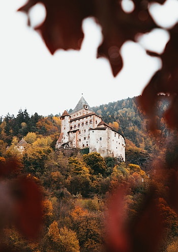 Architecture, Lock, Miscellanea, Miscellaneous, Forest, Hill HD phone wallpaper