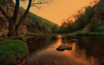 Nature, Trees, Grass, Stones, Twilight, Lake, Dusk, Evening, Pond HD wallpaper