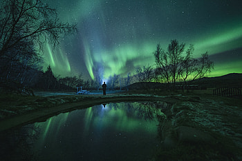 Silhouette, Night, Dark, Aurora Borealis, Aurora, Northern Lights HD wallpaper