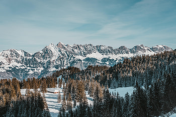 Winter, Nature, Trees, Mountains, Snow, House HD wallpaper