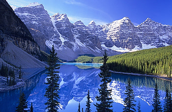 Gods Splended wonders, trees, mountains, ocean, snow HD wallpaper