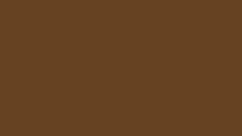 Solid Brown HD wallpaper