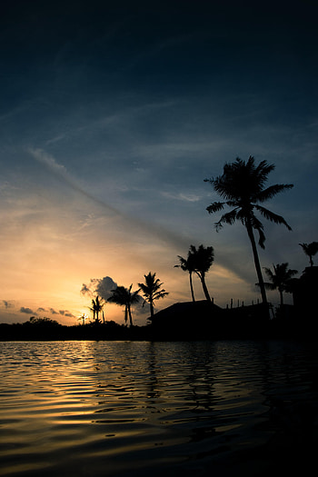 Sunset, Sea, Palms, Dark, Structure, India HD phone wallpaper