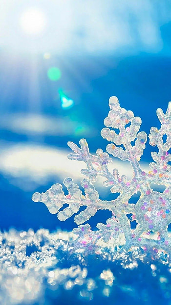 Winter Background, Background HD phone wallpaper