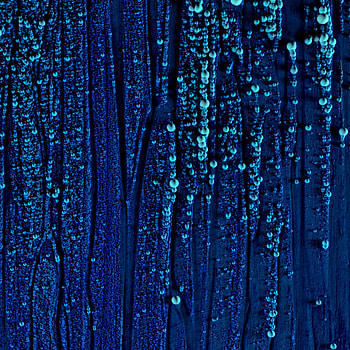 Texture, Textures, Surface, Relief, Bubbly, Vesicular HD phone wallpaper
