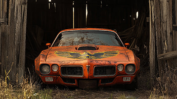 Barnbound Pontiac Firebird — Rusted Classic | Quad, Pontiac Firebird, rust, barn HD wallpaper