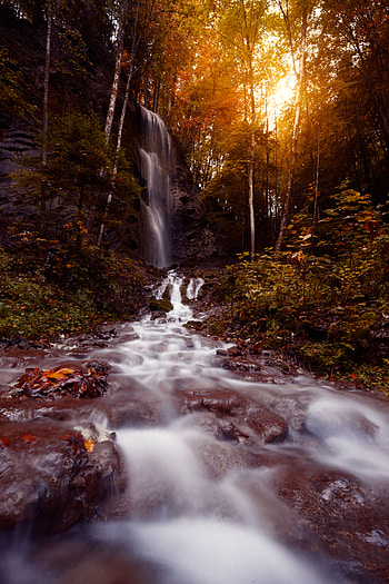 Nature, Water, Trees, Stones, Waterfall, Flow, Stream HD phone wallpaper