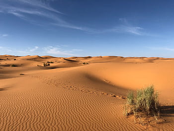 Explore the beautiful sand dunes under a clear blue sky in Egypt's striking desert landscape. HD wallpaper