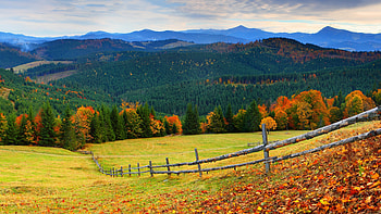 The fence, Field, Mountains, Forest, Autumn HD wallpaper
