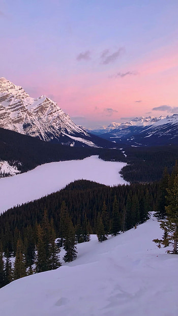 Peyto Lake, Landscapes HD phone wallpaper