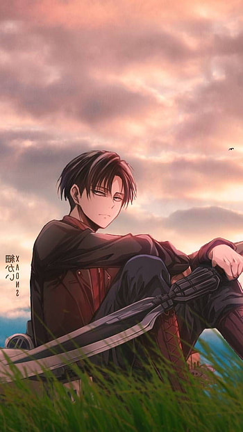 Levi Ackerman, Cute Levi HD phone wallpaper