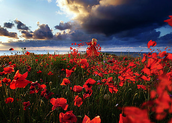 Poppy Fairy, sea, fairy, lady, fantasy, poppy, red, clouds, beautiful HD wallpaper