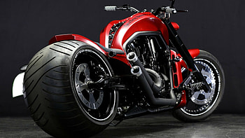 Harley-Davidson, , Captivating visuals, Biker's paradise HD wallpaper