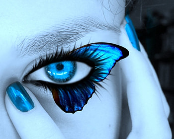 Blue eye, makeup, lashes, eye, woman HD wallpaper