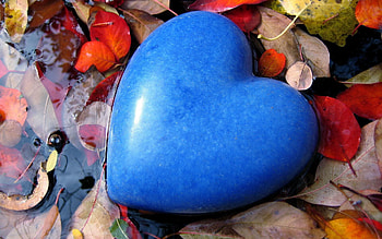 Love, Foliage, Heart, Spring HD wallpaper