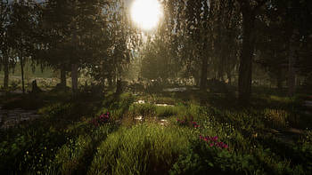 of Nature in The Quinfall: A Serene Escape, video game, The Quinfall, nature HD wallpaper