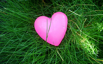 Grass, Love, Bright, Colorful, Colourful, Heart HD wallpaper