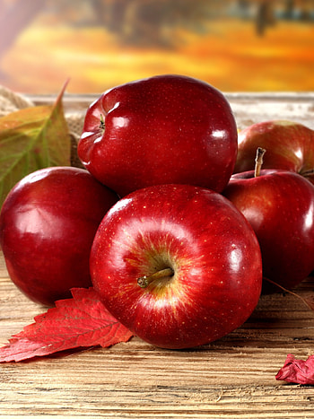 Nourishing, Natural, Edible, Satisfying HD phone wallpaper