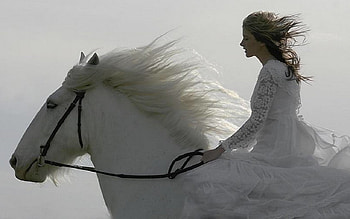 girl and horse, girl, horse, white HD wallpaper