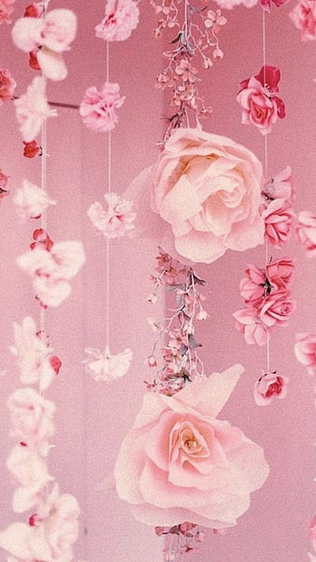 Pink Aesthetic, Rose Flowers HD phone wallpaper