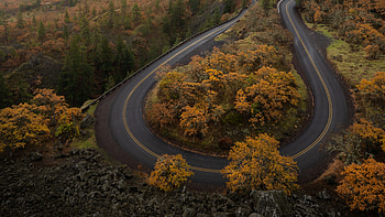 Aerial View Of Road Turn Yellow Green Trees Forest Nature Background Nature HD wallpaper