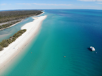 Fraser Island, Whale spotting, Hervey Bay, Exciting cruises HD wallpaper