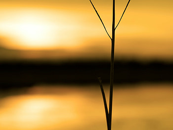 Tranquility, landscape, nature, silence HD wallpaper