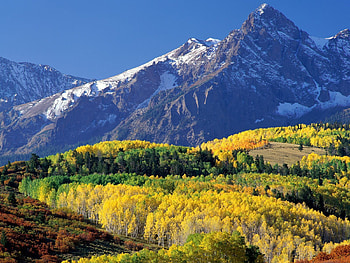 Landscape, Nature, Trees, Grass, Mountains HD wallpaper