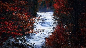 Triple Falls in Dupont State Forest in North Carolina, leaves, colors, cascades, trees, rocks, forest, stones, river, fall, usa HD wallpaper