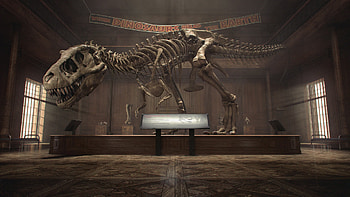 Museum, Tyrannosaurus Rex HD wallpaper