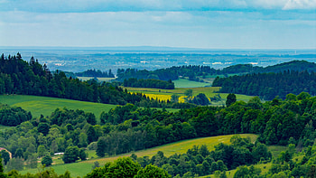 Trees Bushes Grass Field Hills Slope Forest Under Blue Sky Nature HD wallpaper