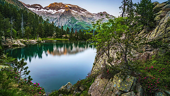 Mountain paradise, tranquility, wildflowers, hills, reflection, forest, lake, serenity, mountain HD wallpaper