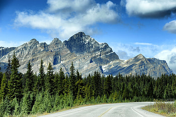 Nature, Trees, Sky, Mountains, Rocks, Road, Spruce, Fir HD wallpaper