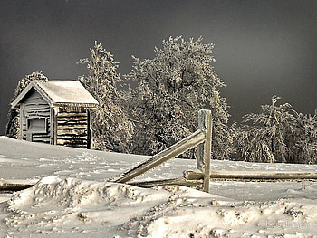 Lonely winter house, winter, frost, frozen, house, cold, lonely, snow, trees, nature HD wallpaper